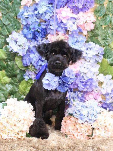 20250601レアくん